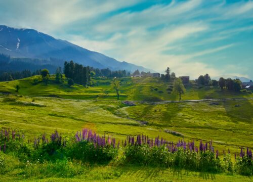 Kashmir Spring Package