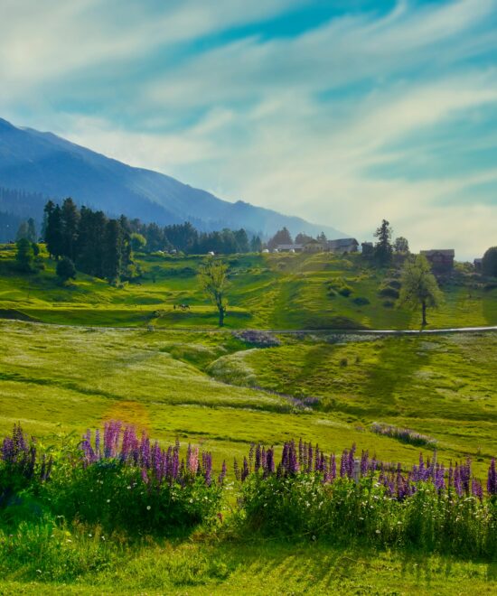 Kashmir Spring Package