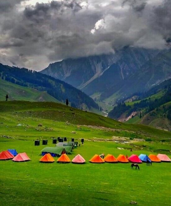 Majestic Kashmir Package