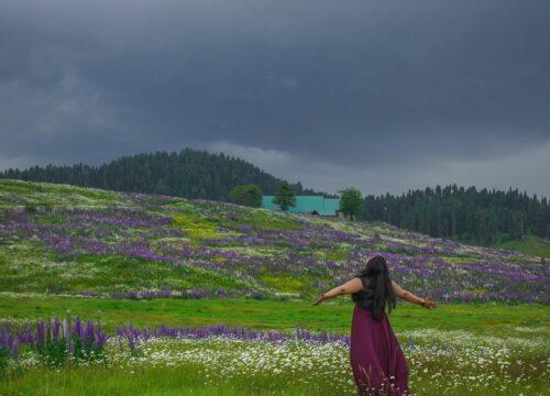 Kashmir Solo Trip ( 6 Days / 5 Nights )