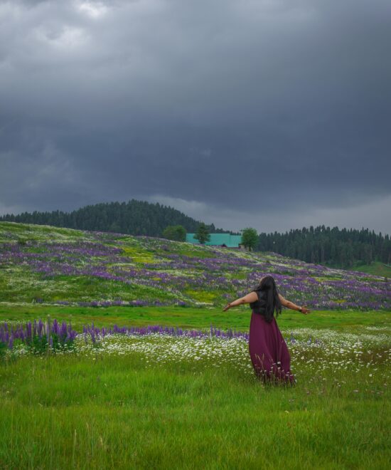 Kashmir Solo Trip ( 6 Days / 5 Nights )